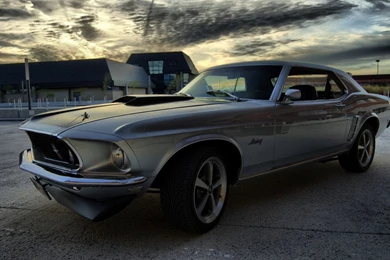 11 Best Ford Mustang Car HD Wallpapers   I Am Qurat