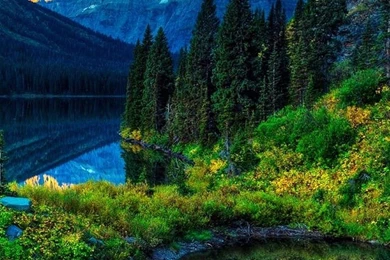 Wallpapers Lg G3 1440 2560 405   1440 X 2560   Lg G3 1440 2560 Quad ...