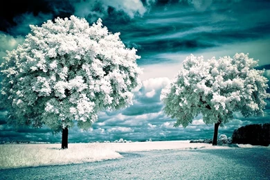 Spring 2560 Wallpapers By MyINQI On DeviantArt