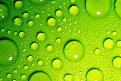 Wallpapers Sony Xperia Z4 Quad Hd Green Drops 1440 2560 492   1440 ...