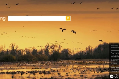 Microsoft Bing: A Search Engine With Stunning Wallpapers And Now ...