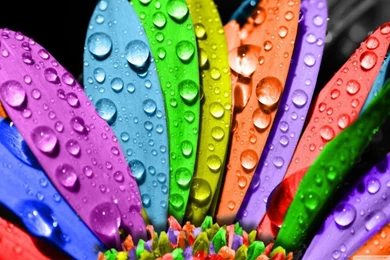 Mashababko: Wallpapers Search Engine