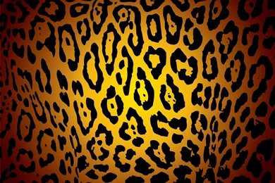 Animal Print Desktop Backgrounds