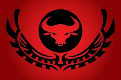 Angry Bull Wallpapers Picturesmaiconlorenzeti