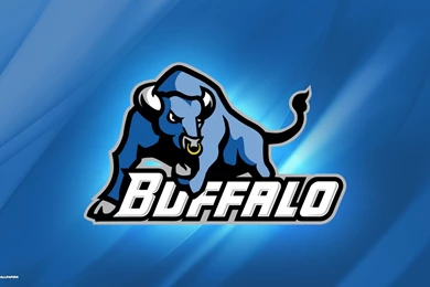 Buffalo Bulls Wallpapers 1/1