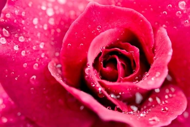 HD Wallpapers 1080p   HD PC Backgrounds 1080p