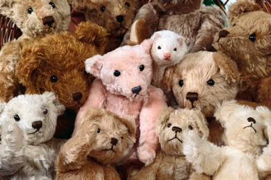 Free Wallpapers Hide And Seek