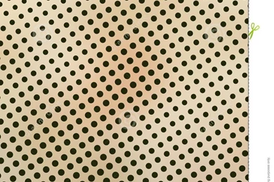 Black And Cream Backgrounds