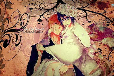 Rukia And Ichigo   Bleach Wallpapers   Anime Wallpapers