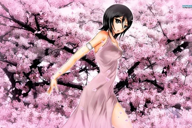 Rukia   Bleach Wallpapers   Anime Wallpapers