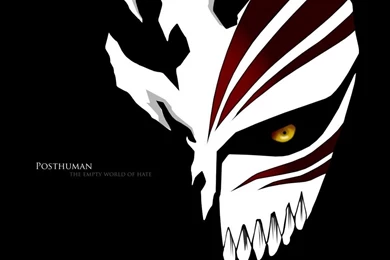 Download Wallpapers Post human, Anime Show Bleach (1366 X 768 ...