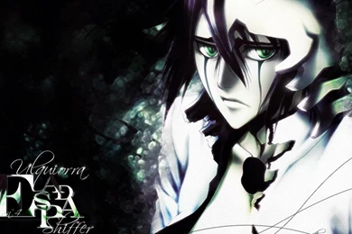Bleach Ulquiorra Wallpapers Customity   (
