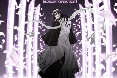 Bleach Quality Background Images Computer Gallery 1366x768 For 17 ...