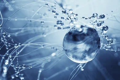 Water Bubbles Wallpapers   Abstract Wallpapers