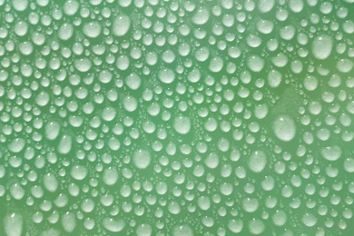 Top Cool Green Bubbles Images For Pinterest