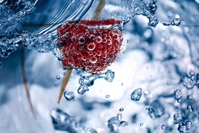 Raspberry In Water With Air Bubbles Wallpapers :: HD Wallpapers