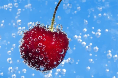 Red Berry Fruit In Water Bubbles Wallpapers HD Download