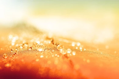 Top Cool Bubbles Wallpapers Water Images For Pinterest