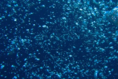 Top Rain Abstract Bubbles Images For Pinterest