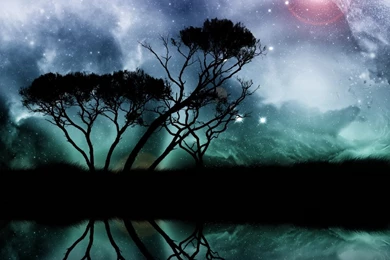 Top Home Abstract Nature Images For Pinterest