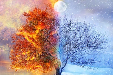 Seasons Nature Abstract Artwork Hd Wallpapers   (