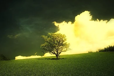 Abstract Nature iPad 2 Wallpapers 07