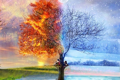 Seasons Nature Abstract Artwork Hd Wallpapers   (