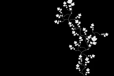 A Place For Free HD Wallpapers