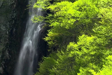 Amazing Nature 12   Video Backgrounds HD 1080p   YouTube