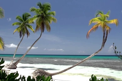 Beach Sea 15   Video Backgrounds HD 1080p   YouTube