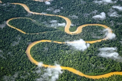 Peru Aerial Rivers National Park Manu Wallpapers