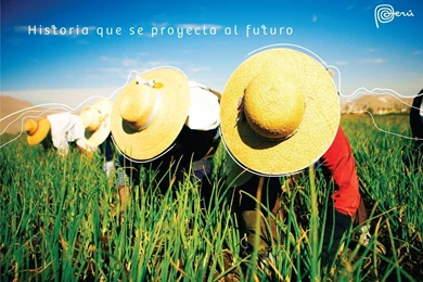 527da14b 893a 42c1 9a02 9d2d00a6518b.jpg