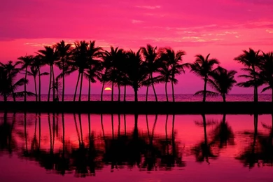 Top Cali Tumblr Background Images For Pinterest