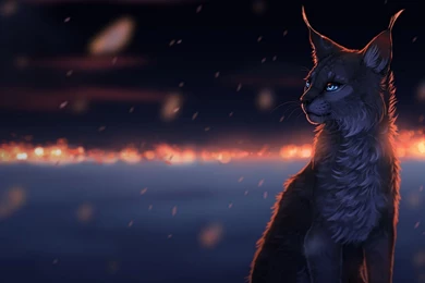 Lynx Computer Wallpapers, Desktop Backgrounds