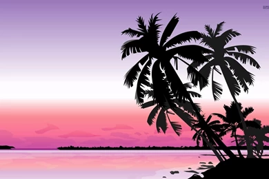 Palm Trees At Sunset Wallpapers   Vector Wallpapers