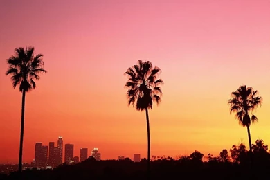 Los Angeles Skyline Palm Trees   Wallpaper.