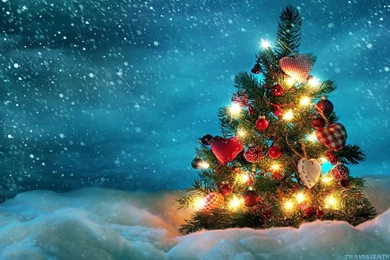 Simply Beautiful Tree Wallpapers