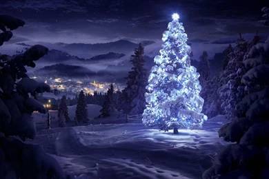 Christmas Tree Greeting Cards Mac Wallpapers Download