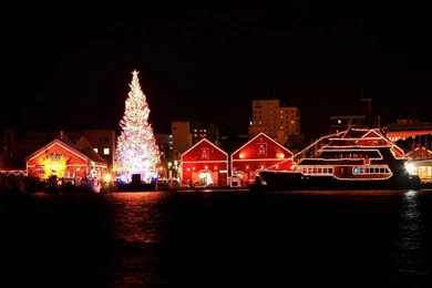 Christmas Night Wallpapers   647862