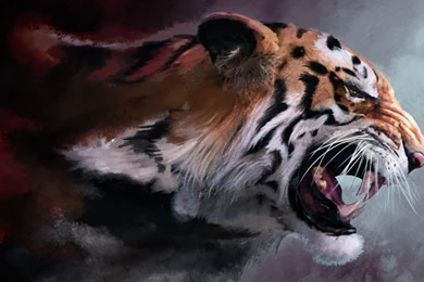 1920x1080 Tiger Desktop PC And Mac Wallpapers