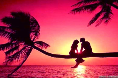 Summer Love Wallpapers 2   Crazy Frankenstein