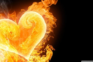 Love Fuel's The Heart Wallpapers Full HD [1920x1080]   Free ...