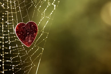 Love Archives   Page 11 Of 16   Free Wallpapers Full Hd 1080p, High ...