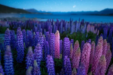 Download: DROID ULTRA Wallpapers