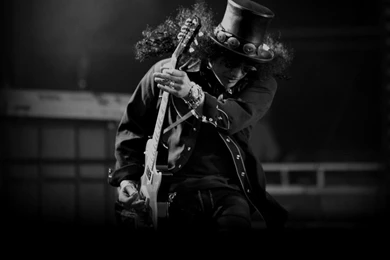 Slash Photo, Pics, Wallpapers   Photo