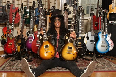 Wallpapers Hd Slash   Wallpapers Animal Hd