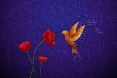 Hummingbird · Wallpapers Clocks · Vladstudio