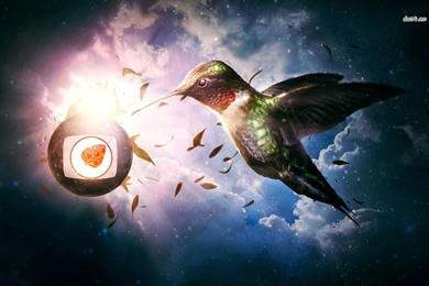 Hummingbird Wallpapers   Digital Art Wallpapers