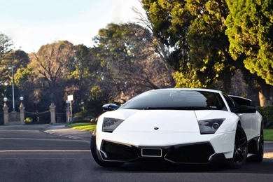 Lamborghini Murcielago HD Wallpapers