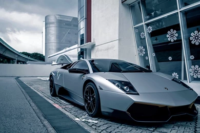 Wonderful Lamborghini Murcielago Wallpapers